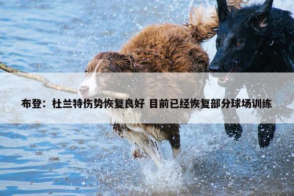 布登：杜兰特伤势恢复良好 目前已经恢复部分球场训练