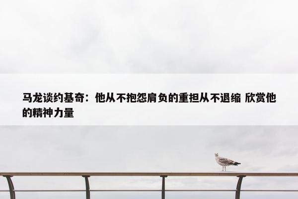 马龙谈约基奇：他从不抱怨肩负的重担从不退缩 欣赏他的精神力量