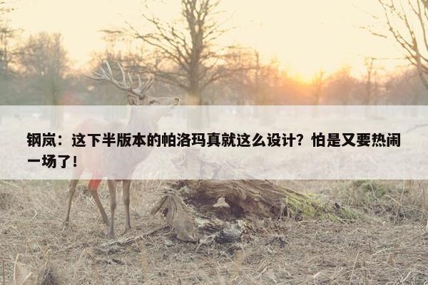 钢岚：这下半版本的帕洛玛真就这么设计？怕是又要热闹一场了！