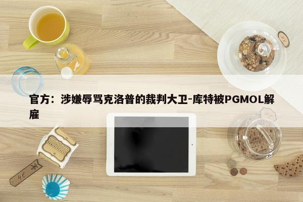 官方：涉嫌辱骂克洛普的裁判大卫-库特被PGMOL解雇