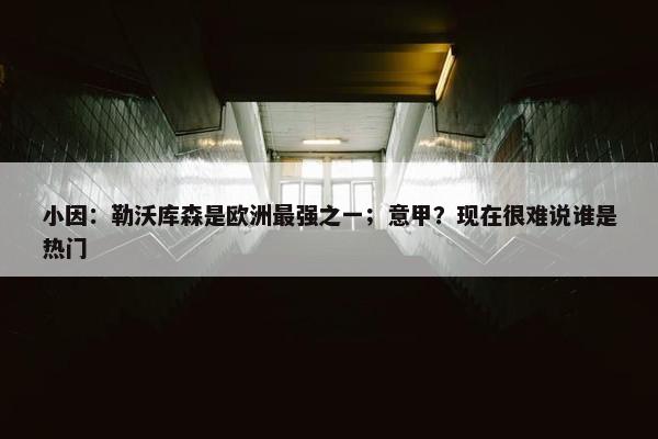 小因：勒沃库森是欧洲最强之一；意甲？现在很难说谁是热门