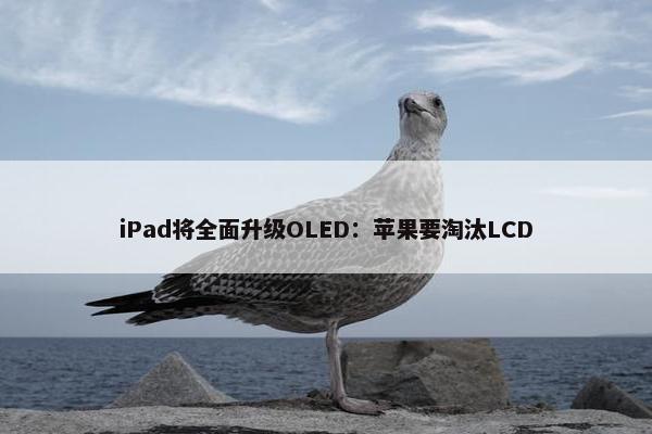 iPad将全面升级OLED：苹果要淘汰LCD