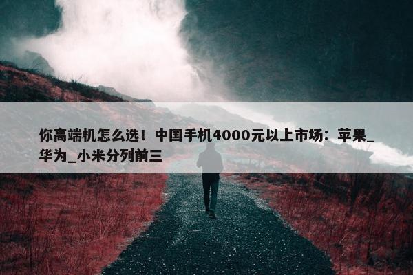 你高端机怎么选！中国手机4000元以上市场：苹果_华为_小米分列前三