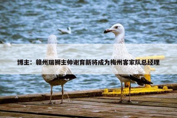 博主：赣州瑞狮主帅谢育新将成为梅州客家队总经理