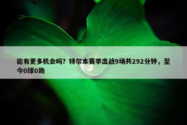 能有更多机会吗？特尔本赛季出战9场共292分钟，至今0球0助