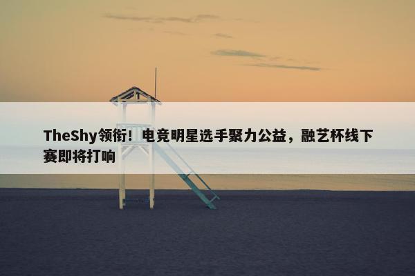 TheShy领衔！电竞明星选手聚力公益，融艺杯线下赛即将打响