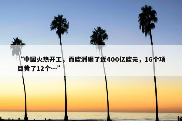 “中国火热开工，而欧洲砸了近400亿欧元，16个项目黄了12个…”