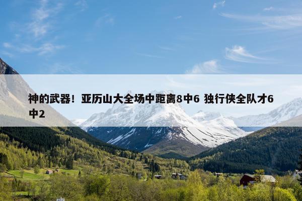 神的武器！亚历山大全场中距离8中6 独行侠全队才6中2