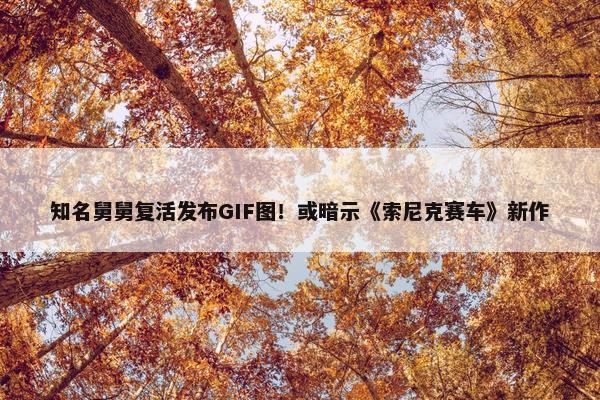 知名舅舅复活发布GIF图！或暗示《索尼克赛车》新作