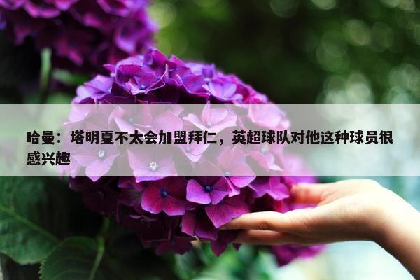 哈曼：塔明夏不太会加盟拜仁，英超球队对他这种球员很感兴趣