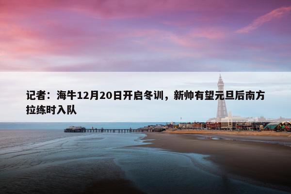 记者：海牛12月20日开启冬训，新帅有望元旦后南方拉练时入队