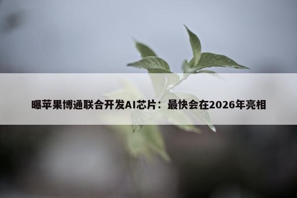 曝苹果博通联合开发AI芯片：最快会在2026年亮相