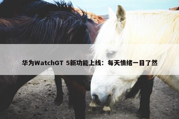 华为WatchGT 5新功能上线：每天情绪一目了然