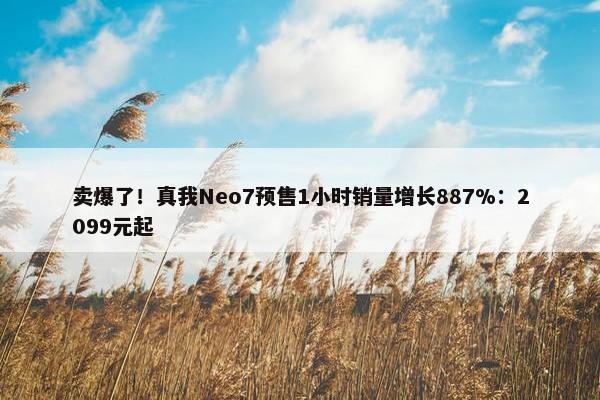 卖爆了！真我Neo7预售1小时销量增长887%：2099元起