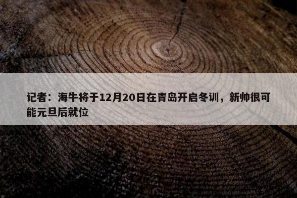 记者：海牛将于12月20日在青岛开启冬训，新帅很可能元旦后就位