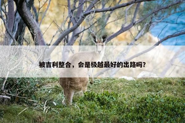 被吉利整合，会是极越最好的出路吗？