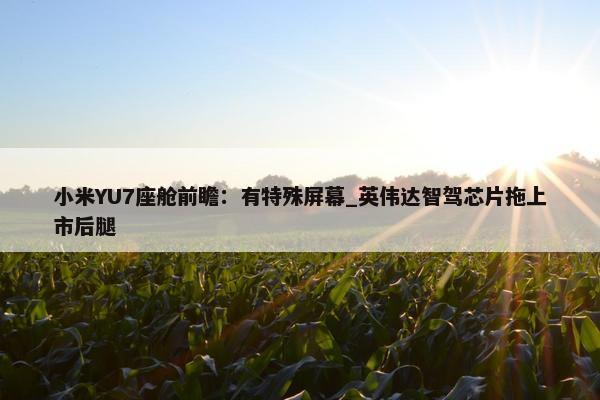 小米YU7座舱前瞻：有特殊屏幕_英伟达智驾芯片拖上市后腿