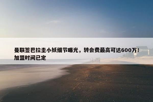 曼联签巴拉圭小妖细节曝光，转会费最高可达600万！加盟时间已定