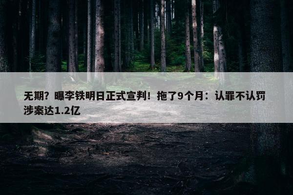 无期？曝李铁明日正式宣判！拖了9个月：认罪不认罚 涉案达1.2亿