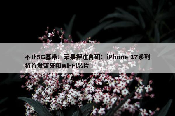 不止5G基带！苹果押注自研：iPhone 17系列将首发蓝牙和Wi-Fi芯片