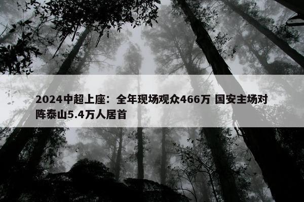 2024中超上座：全年现场观众466万 国安主场对阵泰山5.4万人居首