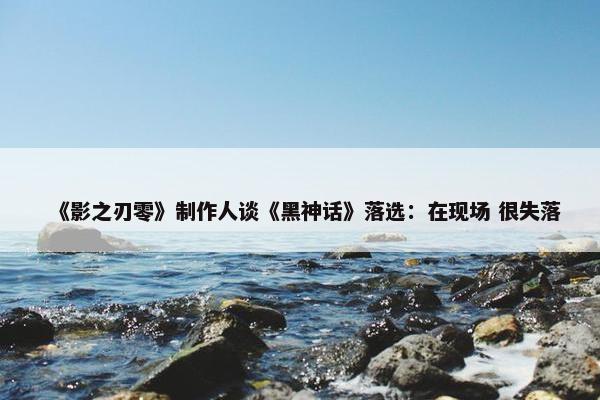 《影之刃零》制作人谈《黑神话》落选：在现场 很失落