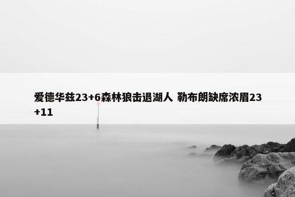 爱德华兹23+6森林狼击退湖人 勒布朗缺席浓眉23+11