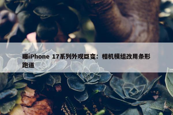 曝iPhone 17系列外观巨变：相机模组改用条形跑道