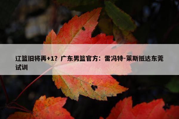 辽篮旧将再+1？广东男篮官方：雷冯特-莱斯抵达东莞试训