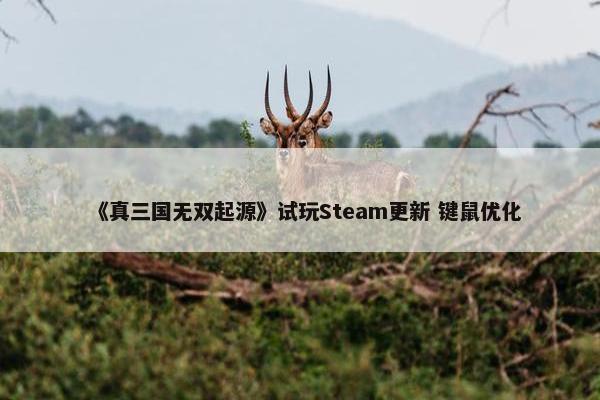 《真三国无双起源》试玩Steam更新 键鼠优化