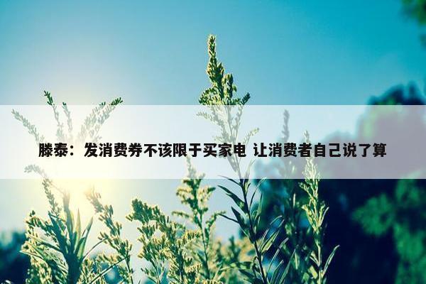 滕泰：发消费券不该限于买家电 让消费者自己说了算