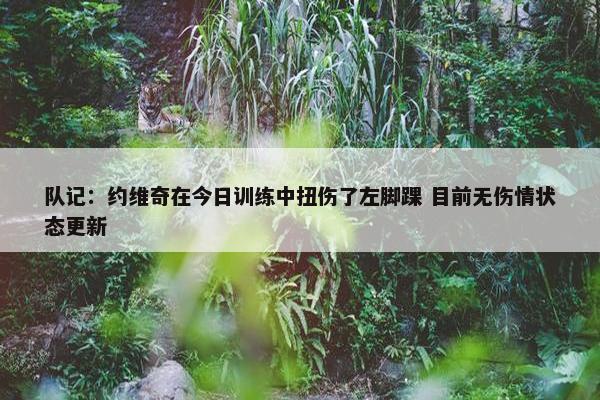 队记：约维奇在今日训练中扭伤了左脚踝 目前无伤情状态更新