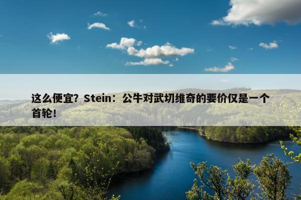 这么便宜？Stein：公牛对武切维奇的要价仅是一个首轮！