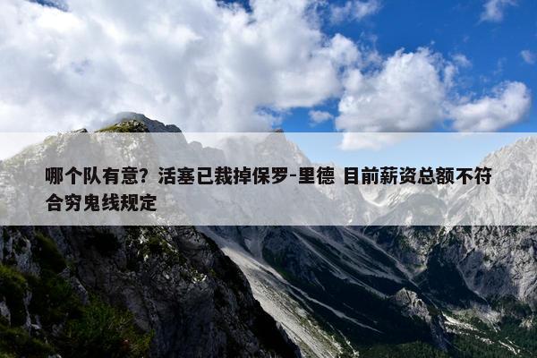 哪个队有意？活塞已裁掉保罗-里德 目前薪资总额不符合穷鬼线规定