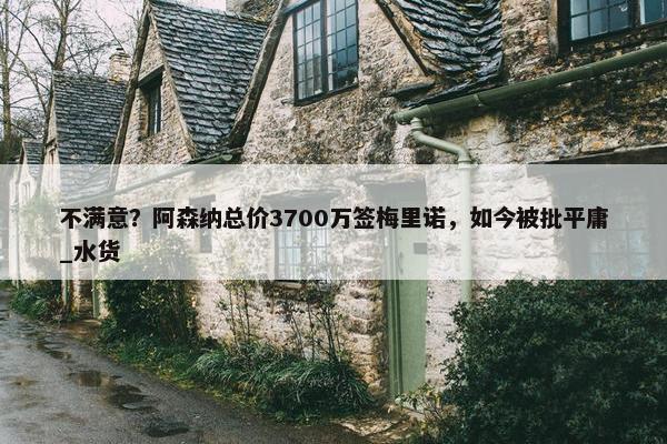 不满意？阿森纳总价3700万签梅里诺，如今被批平庸_水货