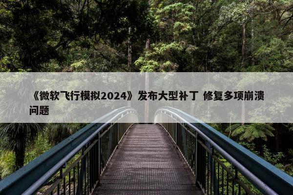 《微软飞行模拟2024》发布大型补丁 修复多项崩溃问题