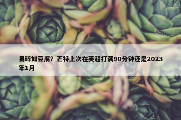 易碎如豆腐？芒特上次在英超打满90分钟还是2023年1月