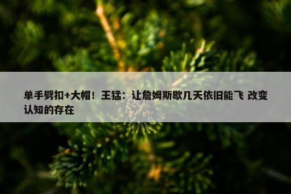 单手劈扣+大帽！王猛：让詹姆斯歇几天依旧能飞 改变认知的存在