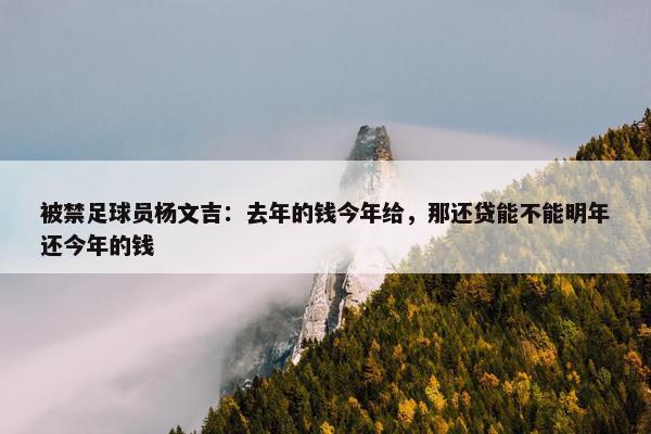 被禁足球员杨文吉：去年的钱今年给，那还贷能不能明年还今年的钱