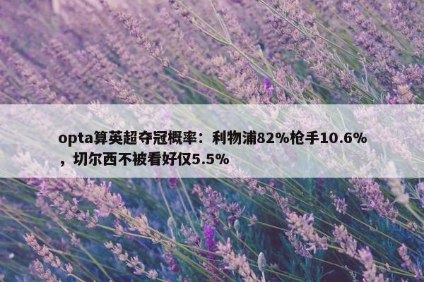 opta算英超夺冠概率：利物浦82%枪手10.6%，切尔西不被看好仅5.5%