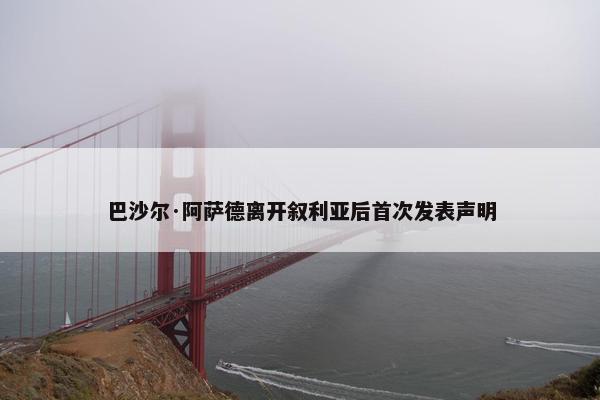 巴沙尔·阿萨德离开叙利亚后首次发表声明