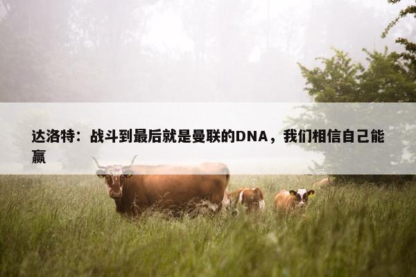 达洛特：战斗到最后就是曼联的DNA，我们相信自己能赢