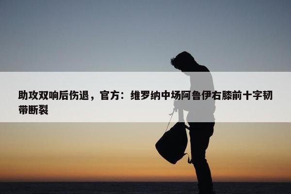 助攻双响后伤退，官方：维罗纳中场阿鲁伊右膝前十字韧带断裂