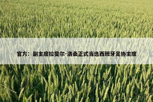 官方：副主席拉斐尔-洛桑正式当选西班牙足协主席