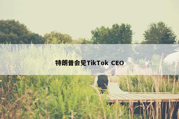 特朗普会见TikTok CEO