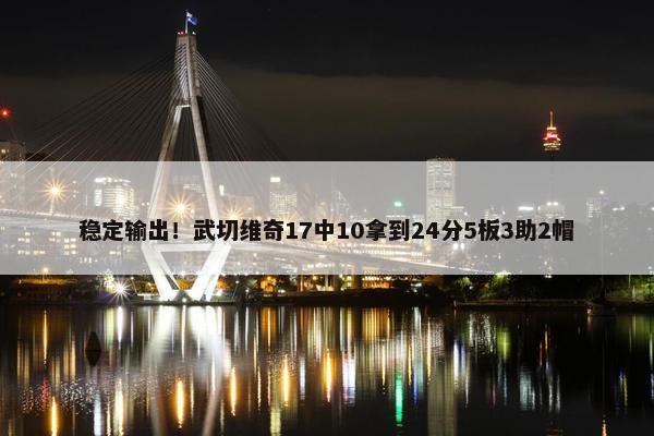 稳定输出！武切维奇17中10拿到24分5板3助2帽