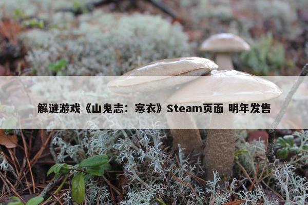 解谜游戏《山鬼志：寒衣》Steam页面 明年发售