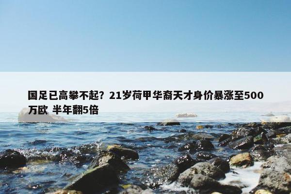 国足已高攀不起？21岁荷甲华裔天才身价暴涨至500万欧 半年翻5倍