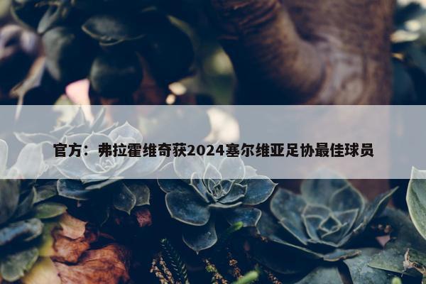 官方：弗拉霍维奇获2024塞尔维亚足协最佳球员