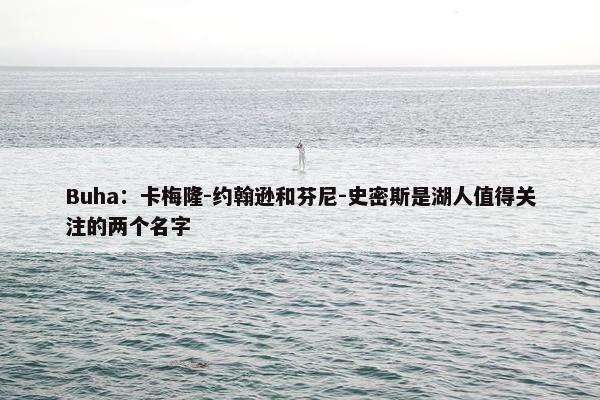 Buha：卡梅隆-约翰逊和芬尼-史密斯是湖人值得关注的两个名字